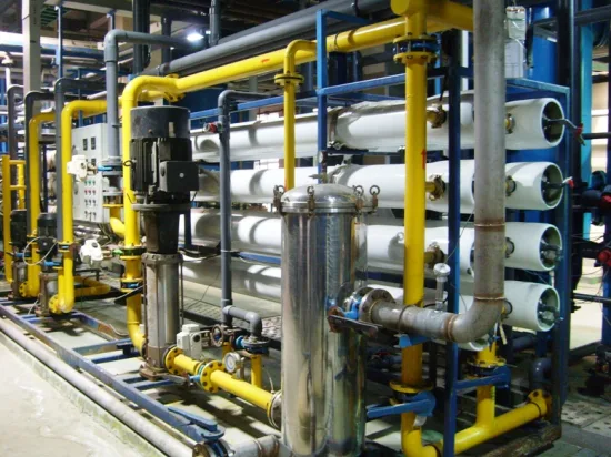 Fabbrica di impianti di desalinizzazione dell'acqua di mare Sistema di trattamento dell'acqua RO/Progetto di desalinizzazione dell'acqua di mare