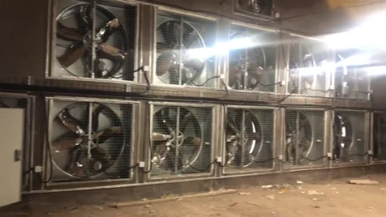 Ventilatore di scarico per ventilazione industriale con pannello di raffreddamento per capannone per pollame in serra