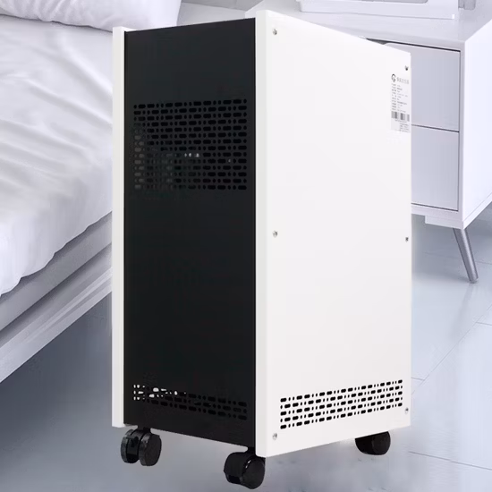 Flygoo 60 g/H generatore di ozono portatile purificatore d'aria disinfezione ozonizzatore