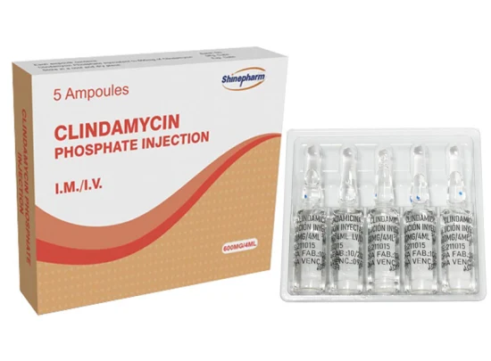 Clindamicina fosfato iniettabile 600 mg/4 ml con OEM GMP